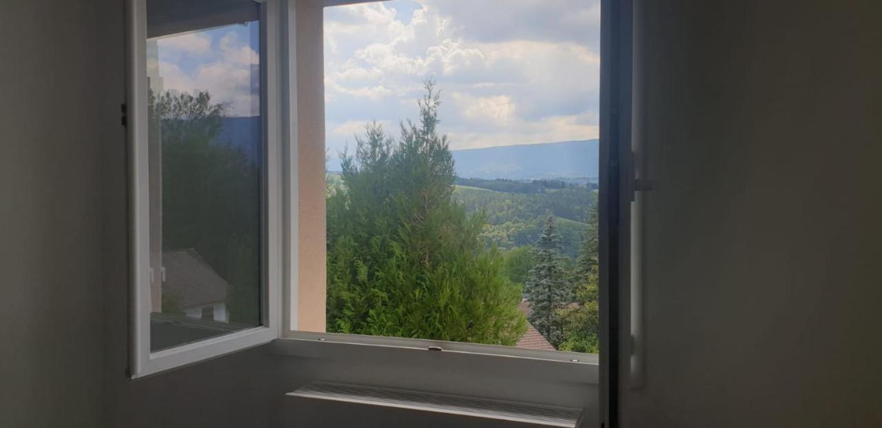 Maison Au Calme Villa Bellegarde-sur-Valserine Esterno foto